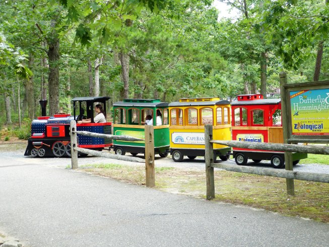 Zoo Train